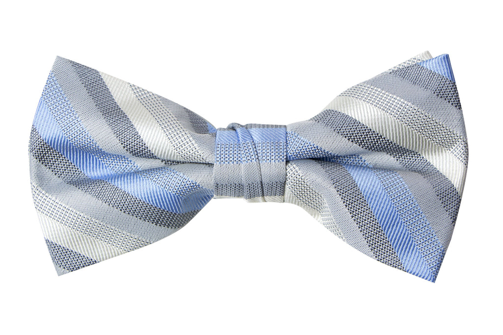 Men's Blue/Ivory Patterned Bow Tie (Color 19)