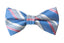 Men's Blue/Melon Patterned Bow Tie (Color 21)