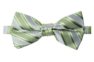Men's Pastel Green Patterned Bow Tie (Color 27)