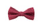 Boys' Dotted Woven Bow Tie