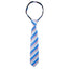 boys' blue coral spring melon stripes patterned woven zipper necktie tie
