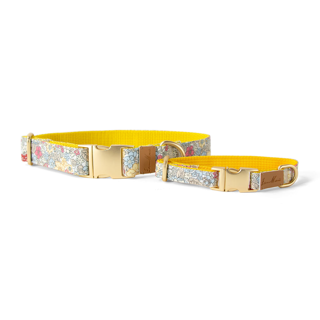 Cotton Floral Dog Collar with Matt Gold Metal Buckle, 01-Champagne and Blue