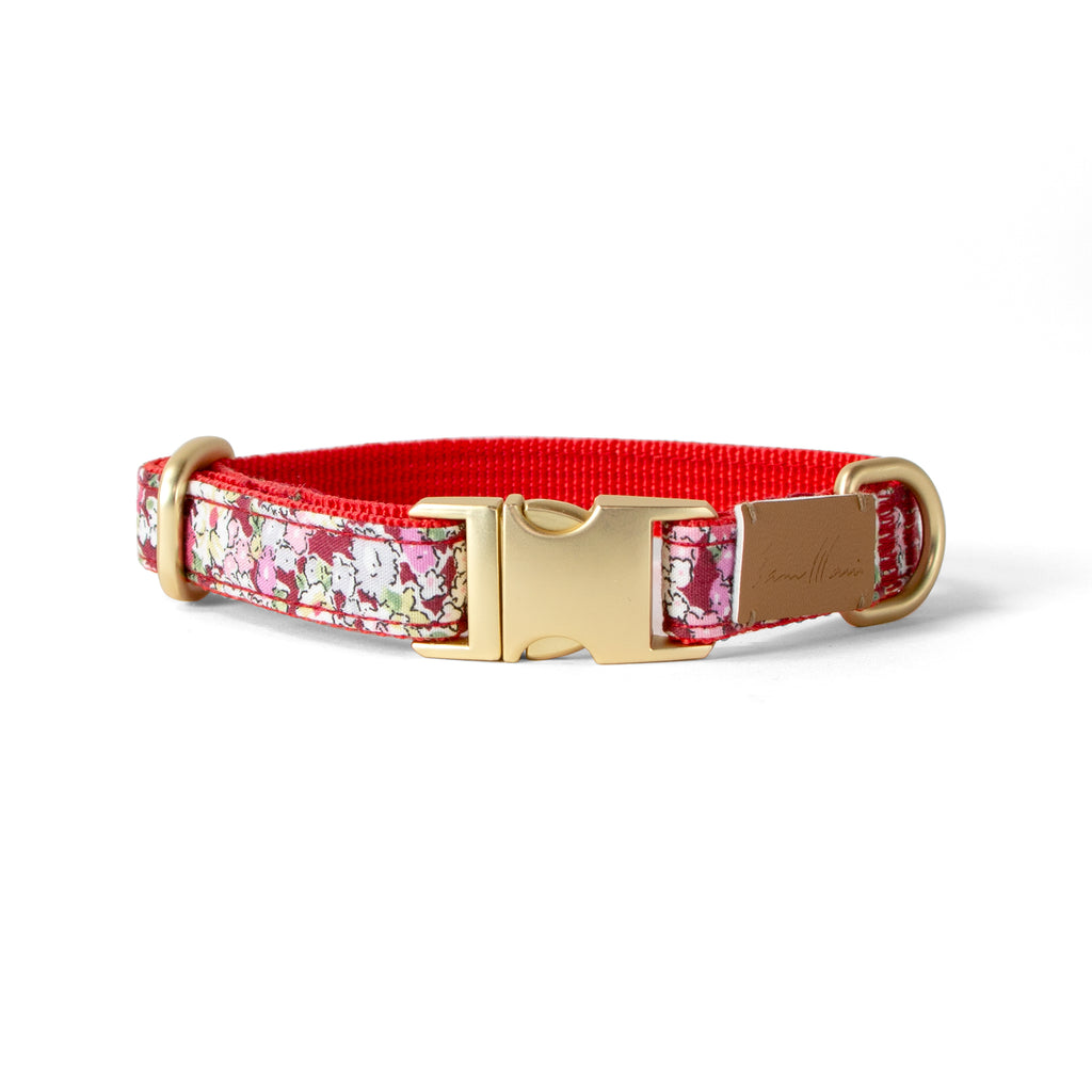 Cotton Floral Dog Collar with Matt Gold Metal Buckle, 10-Cinnamon