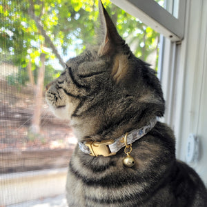 Cotton Floral Adjustable Cat Collar with Matt Gold Buckle and Bell, 12-Champagne