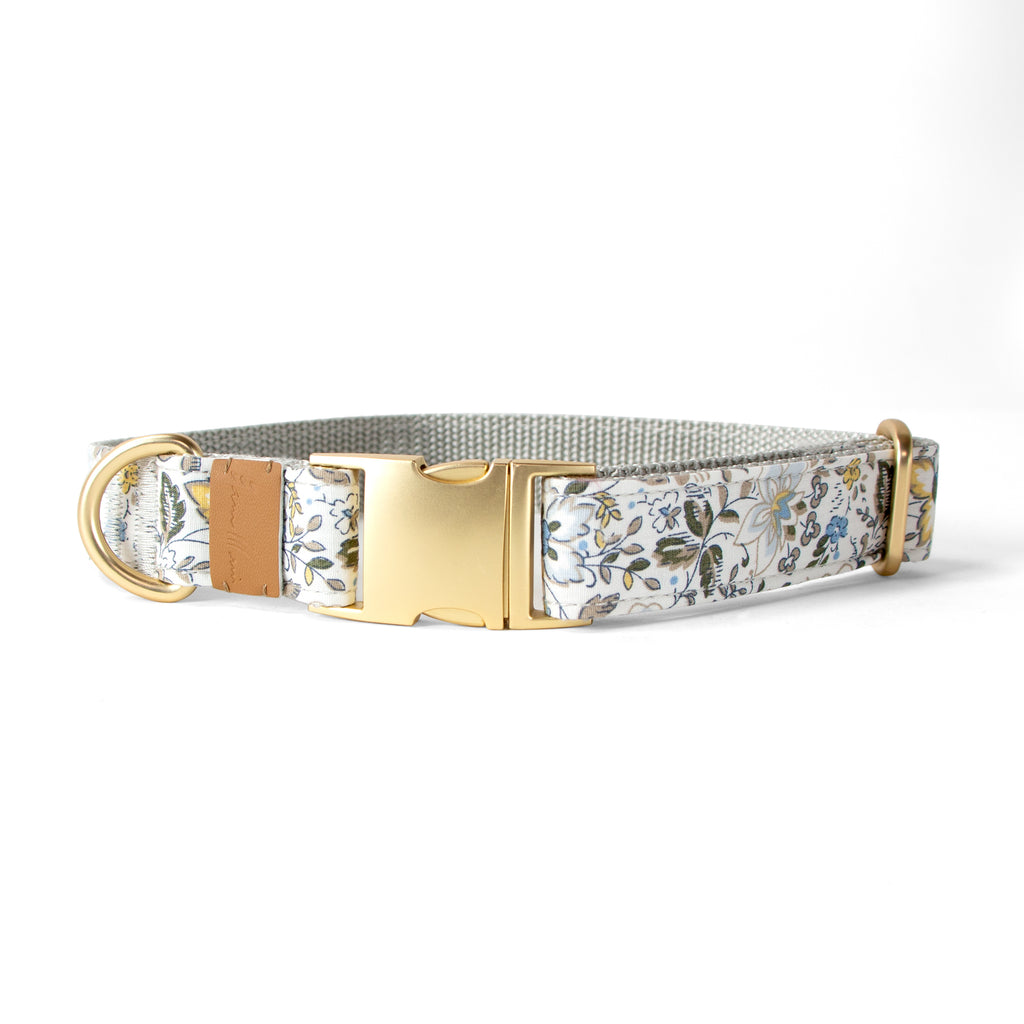 Cotton Floral Dog Collar with Matt Gold Metal Buckle, 12-Champagne