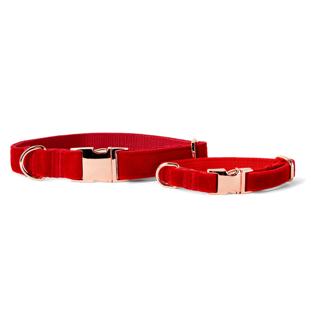 Velvet Dog Collar with Rose Gold Metal Buckle, Red