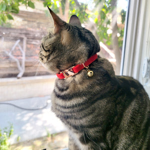 Velvet Adjustable Cat Collar with Metal Rose Gold Buckle and Bell, Red