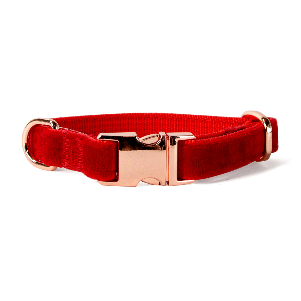 Velvet Dog Collar with Rose Gold Metal Buckle, Red