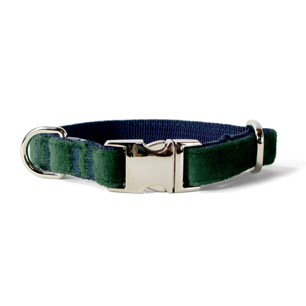 Velvet Dog Collar with Chrome Silver Metal Buckle, Emerald Green SPRING NOTION Velvet Dog Collar with Chrome Silver Metal Buckle, Emerald Green SPRING NOTION