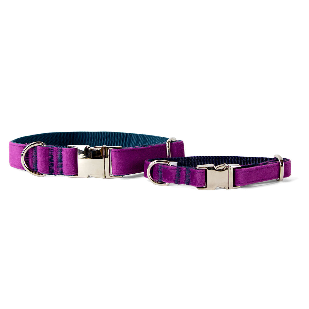 Velvet Dog Collar with Chrome Silver Metal Buckle, Plum Purple