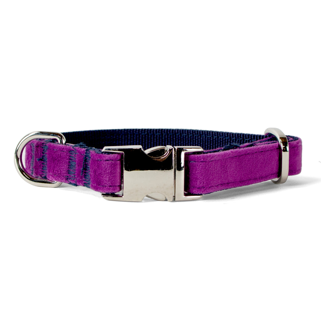 Velvet Dog Collar with Chrome Silver Metal Buckle, Plum Purple