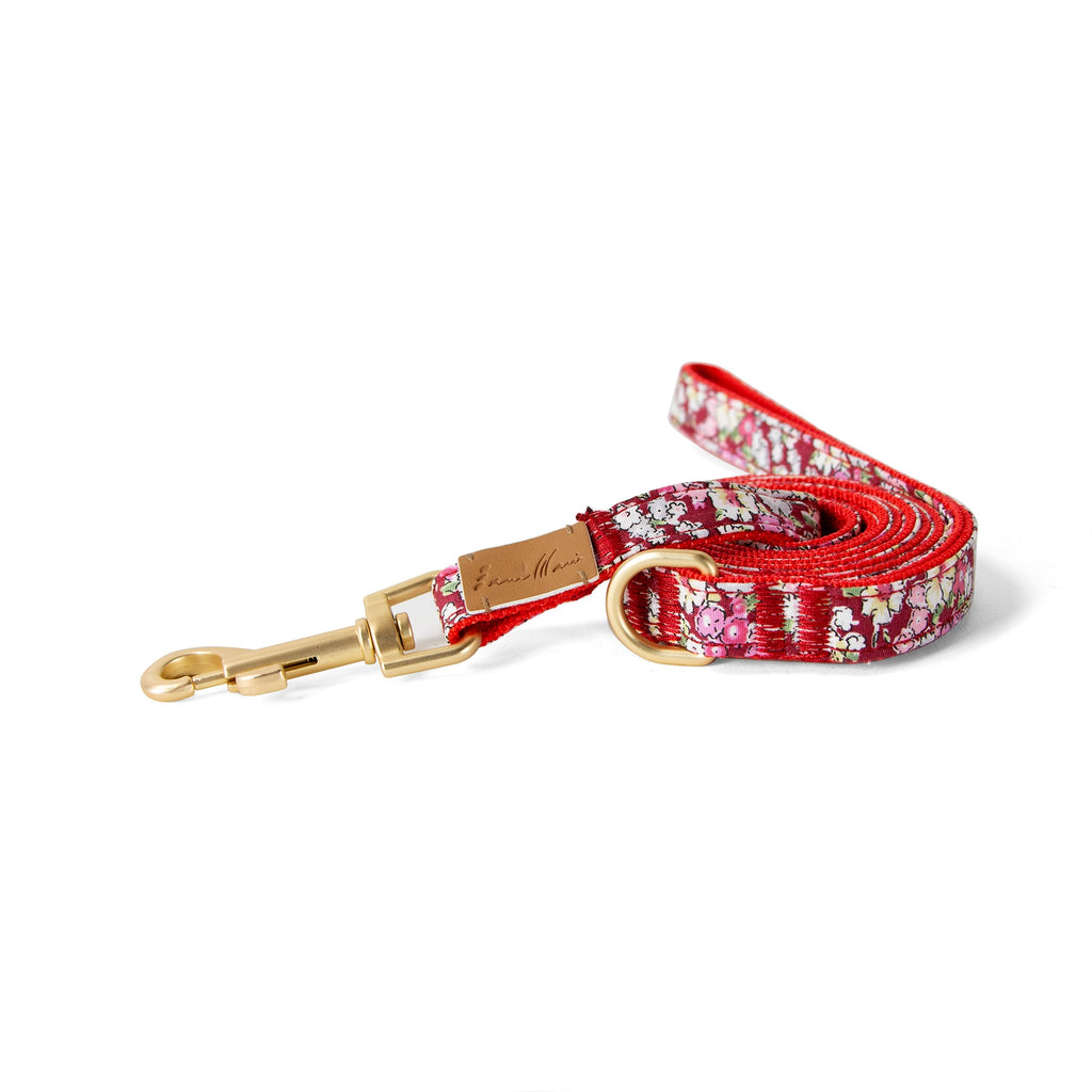 Cotton Floral Dog Leash with Matt Gold Metal Snap and D-Ring, 10-Cinnamon