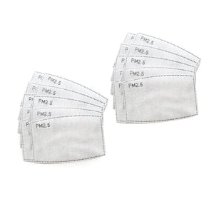 PM 2.5 Activated Carbon Filter Insert Pack of 20