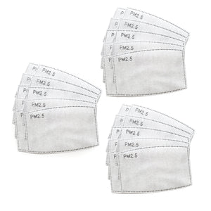 PM 2.5 Activated Carbon Filter Insert Pack of 30